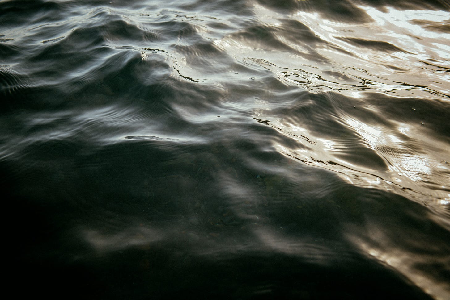 Dark rippling water with soft light reflected across the surface.