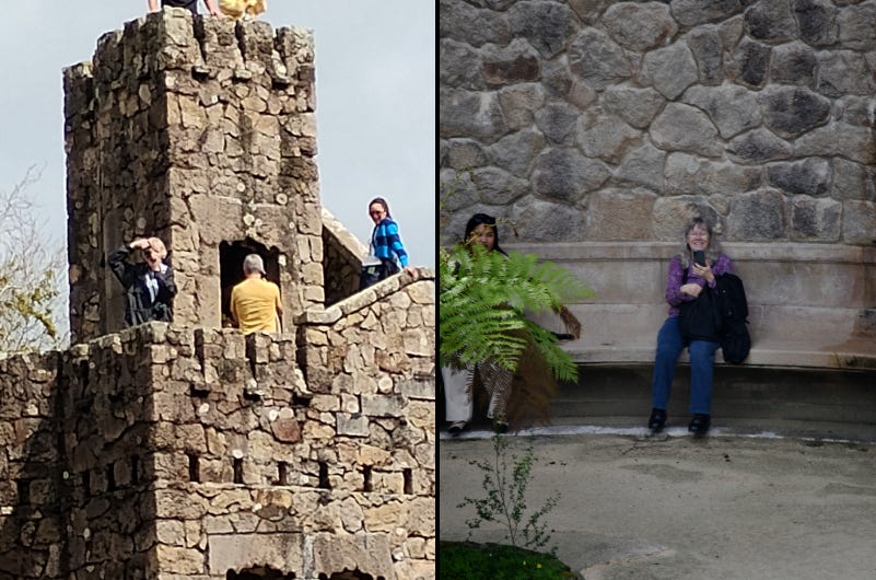 Two photos: Tim up a tower with camera, Tinney on a bench below with phone