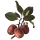 ripe-hearted