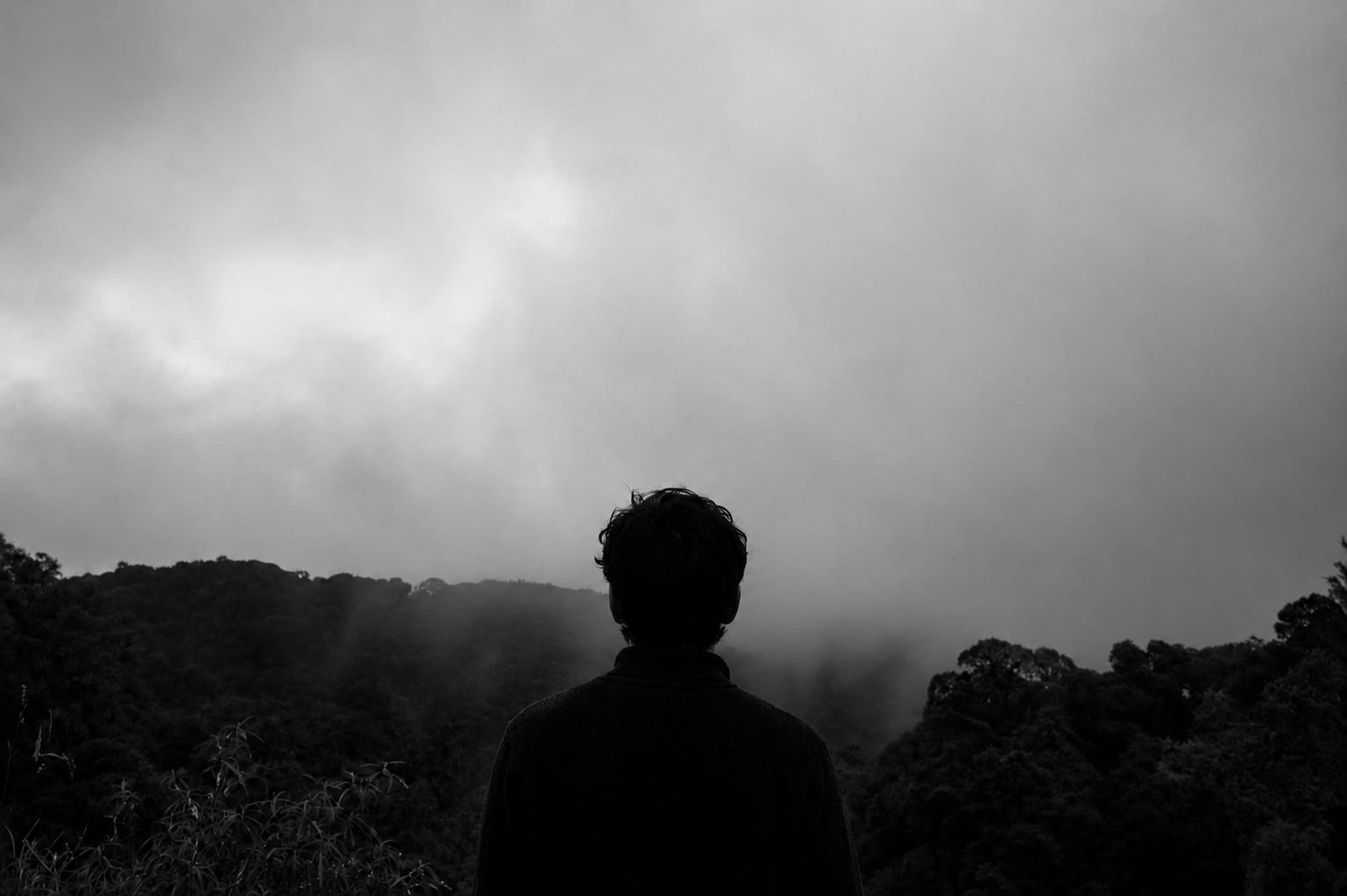 jimpalmerauthor.substack.com - Jim Palmer - The Question Beneath Suicide