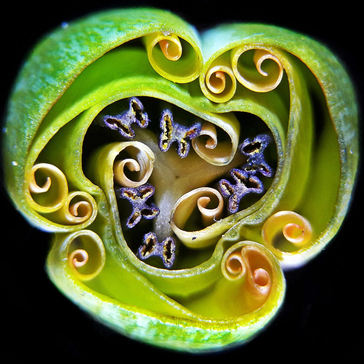 Doctor: Heal Thyself