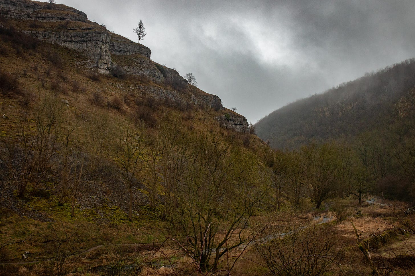 Image of Lathkill Dale near Low Wood, with a view of the stream running through the centre of the image. 