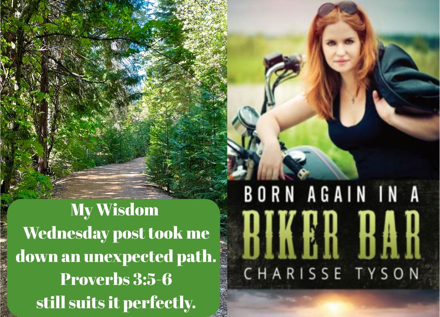 I used Canva to add the cover of my book Born Again in a Biker Bar and a picture of a path with the words my wisdom wednesday post took an unexpected path. Proverbs 3:5-6 still suits it perfectly.