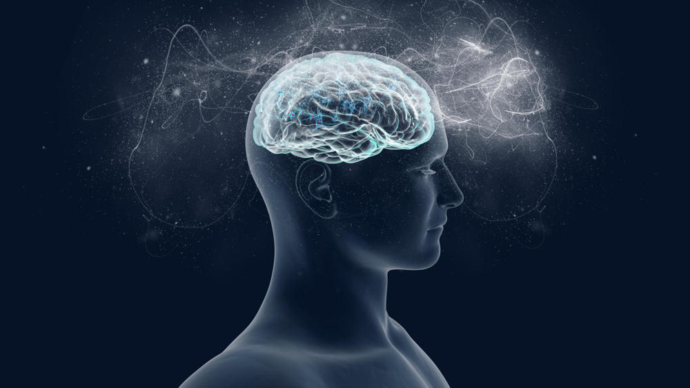 magic-mushrooms-brain magic-mushrooms-brain