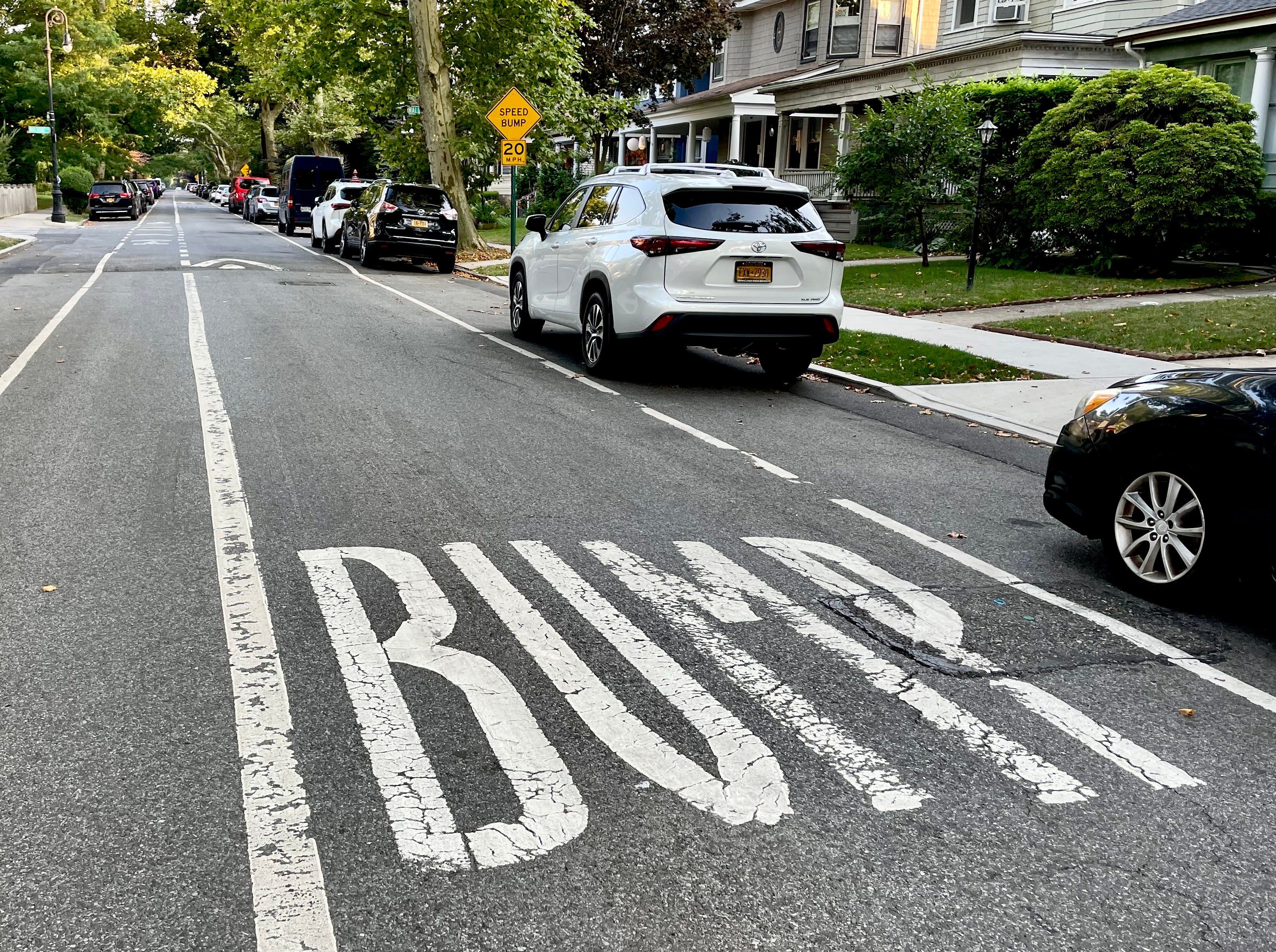 Of Bumps, Humps, and Lumps - by Paul Lukas