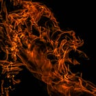 Start Here: A Guide to Phoenix Your Faith