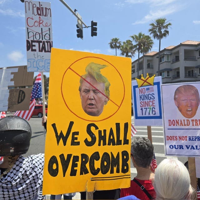 r/popculturechat - Some of the best signs at the ‘No Kings’ protests across America this weekend