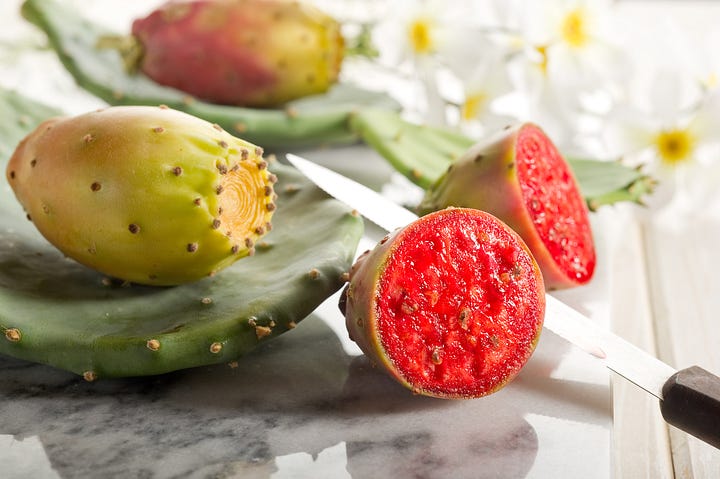 Prickly pear cactus 