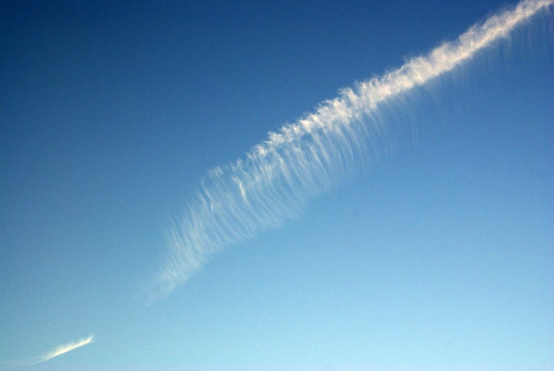 38569092396_10101df364_c