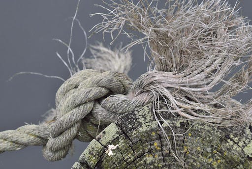 Bcx.News Faryed Knots