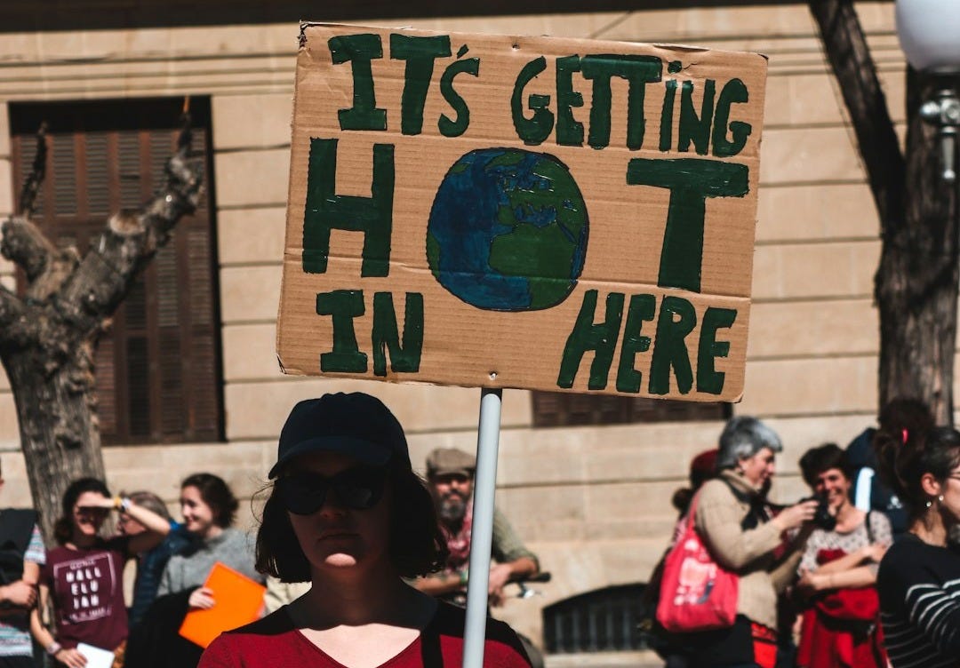 woman holding signboard during daytime