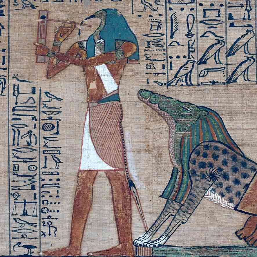 Naucratic Expeditions