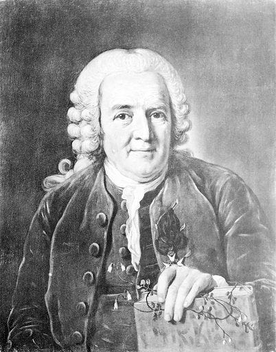 Portrait of Carl Linnaeus free public domain image | Look and Learn Portrait of Carl Linnaeus free public domain image | Look and Learn