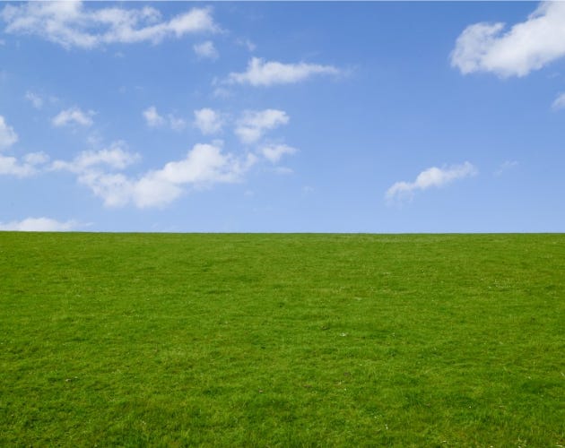 there is no such place as an empty field. by blake stone / fenced ... there is no such place as an empty field. by blake stone / fenced ...