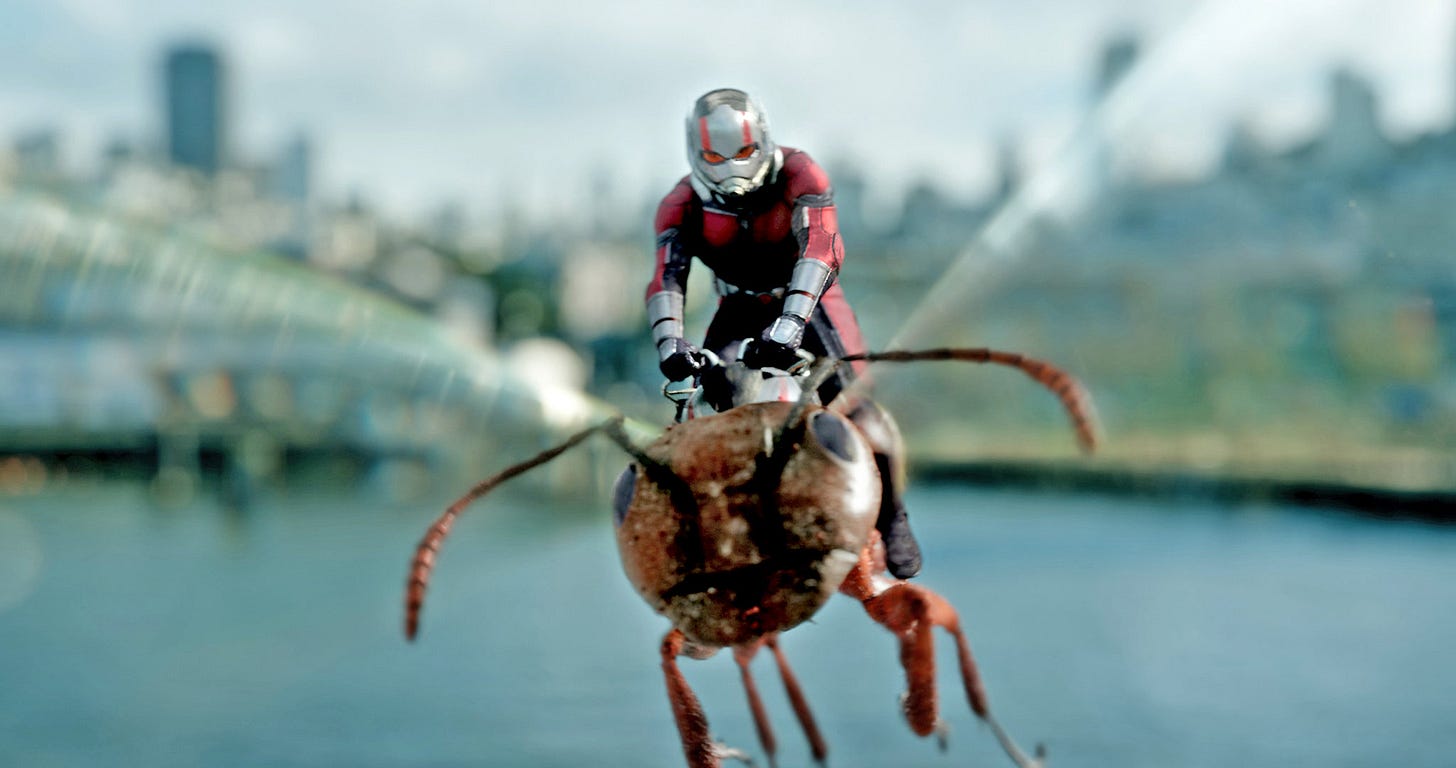Ant-Man, yesterday Ant-Man, yesterday