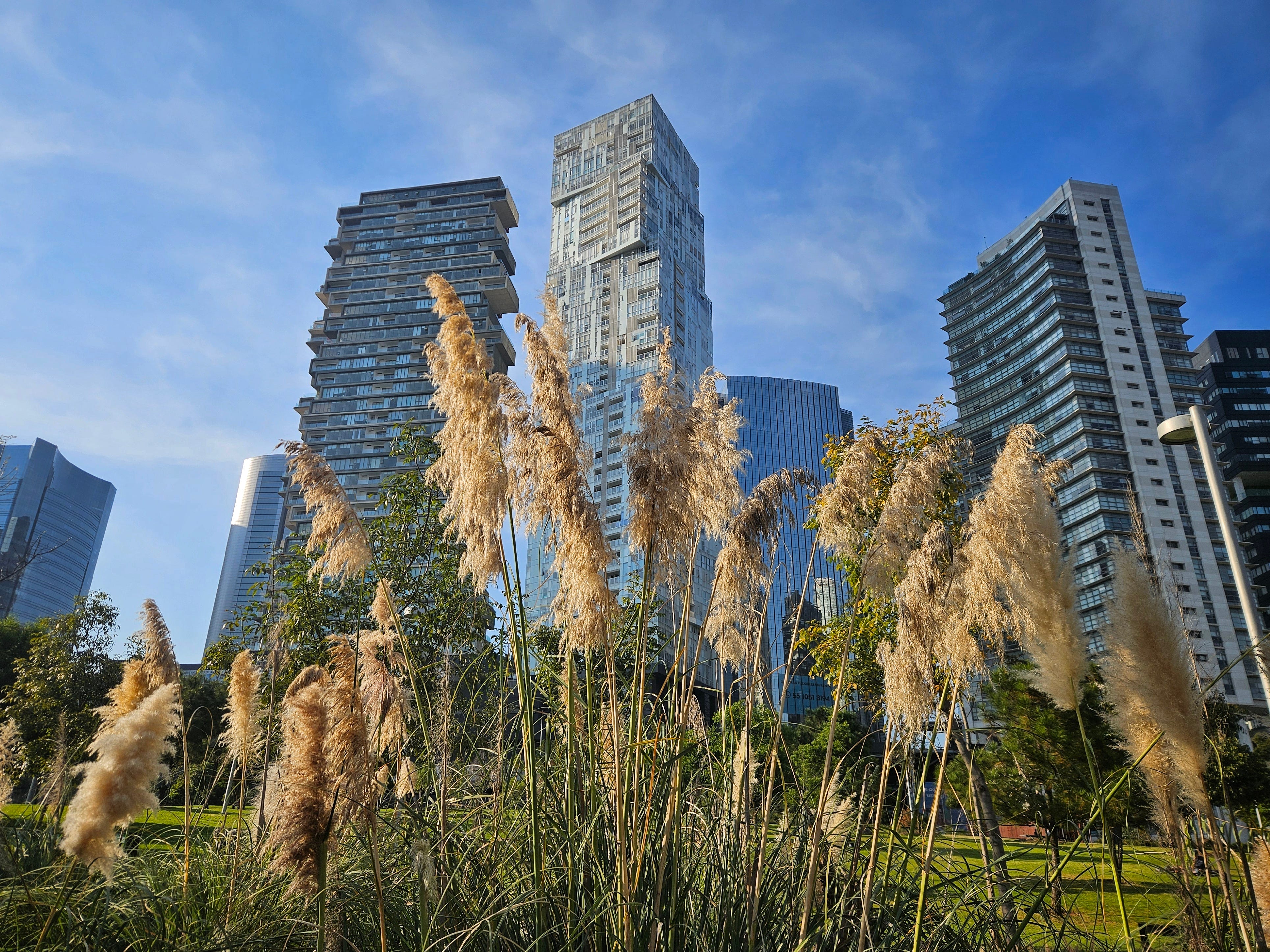 ATERCIOPELADOS: \, image size:3858x2894