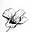 El Bb's avatar