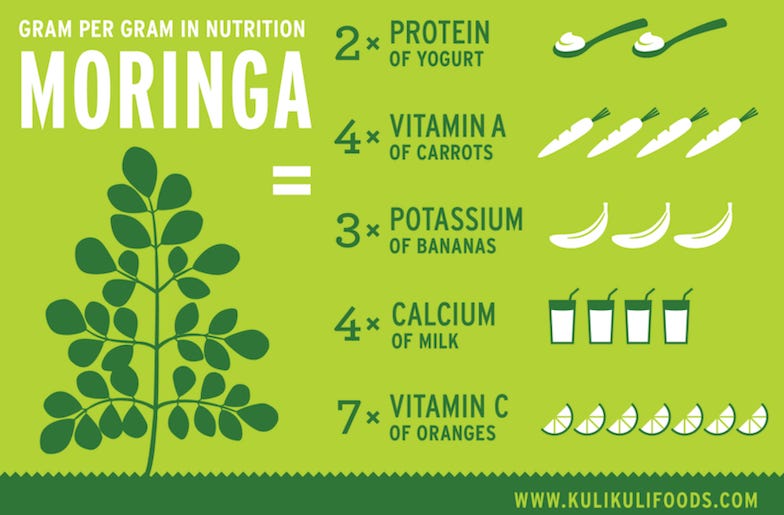 Moringa Nutrition: 6 Essential Compounds for a Healthy Body and Mind - Kuli Kuli Foods Moringa Nutrition: 6 Essential Compounds for a Healthy Body and Mind - Kuli Kuli Foods