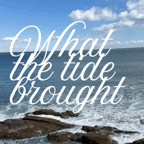 What the tide brought
