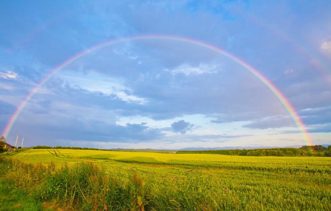 Contenu de l’article