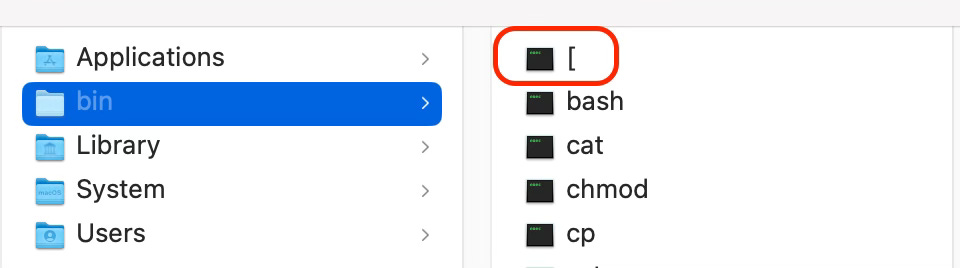 An executable binary named "[".