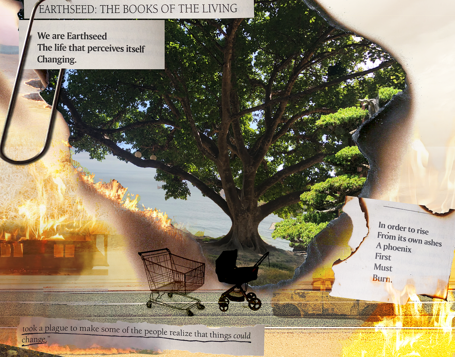 Earthseed collage. A tree grows from the flames and ashes. “We are Earthseed; The life that perceives itself; Changing.” “In order to rise; From its own ashes; A phoenix First Must Burn.” “…took a plague to make some of the people realize that things could change.”