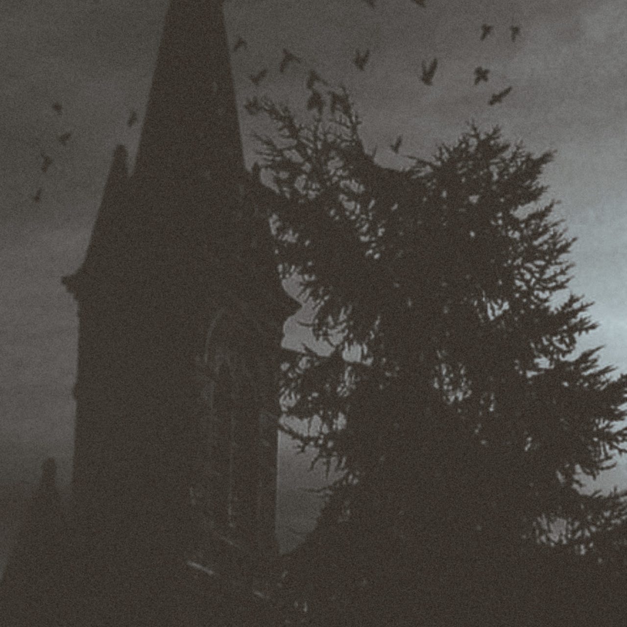 Akita’s Dark Notes