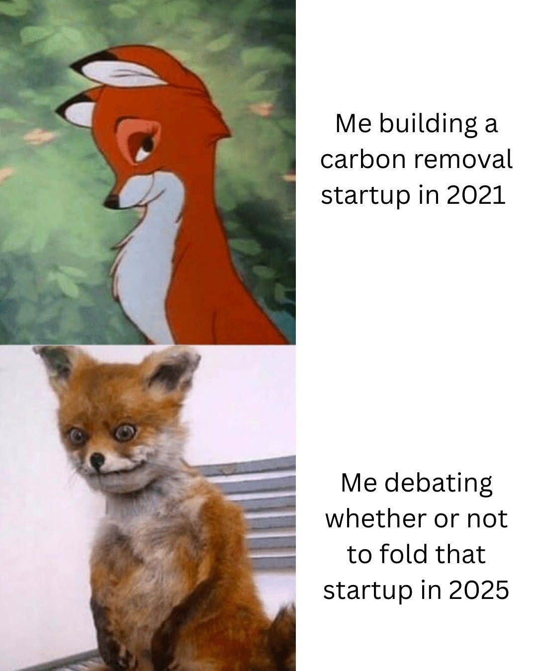 Two foxes. A sleek cartoon fox labelled "Me building a carbon removal startup in 2021", and a wild-eyed, badly taxidermied fox labelled "Me debating whether or not to fold that startup in 2025".
