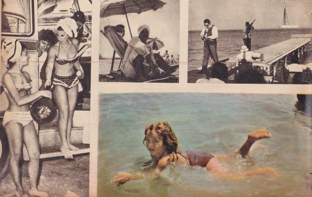1964