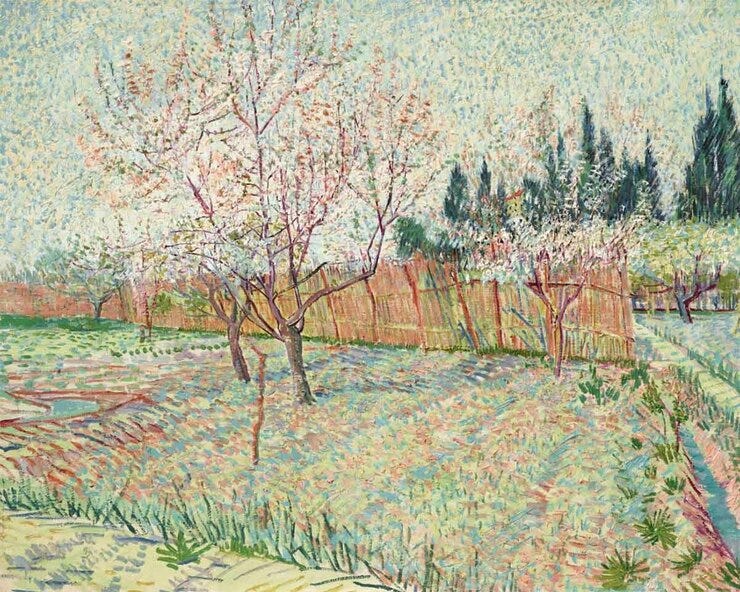 'Verger avec cyprès' - olieverf op doek: Vincent van Gogh (herkomst: voorm. coll. Paul G Allen)