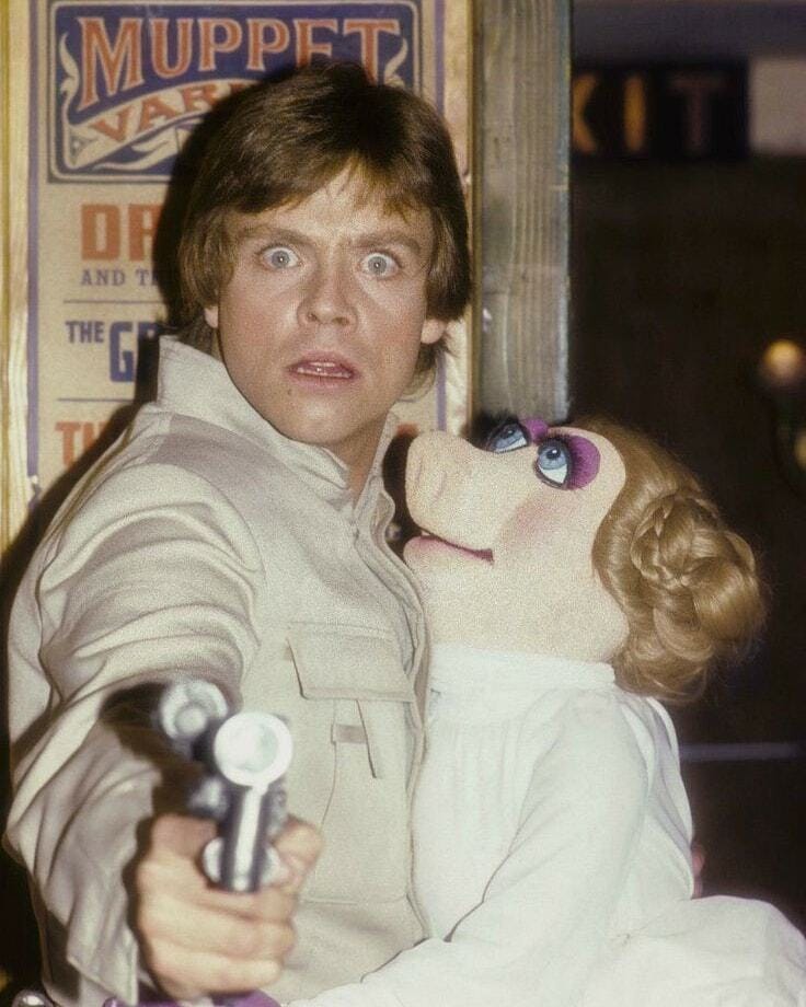 Star Wars Addicted on X: "Luke Skywalker e Miss Piggy al Muppet Show, nel  1980. https://t.co/uFO3JcXdE0 https://t.co/Kga8rjc1BP" / X