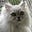 Joanne Gatsis's avatar