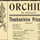 perfume write-ups: olympic orchids