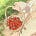 プリムローズ 美しい's avatar
