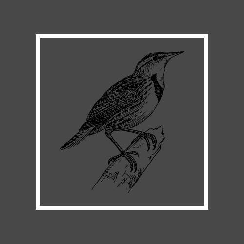 Wild Healing logo