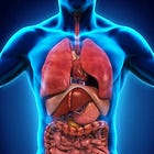 Remdesivir: COVID's Standard of Care that May be Causing more Harm than Good (REVIEW)