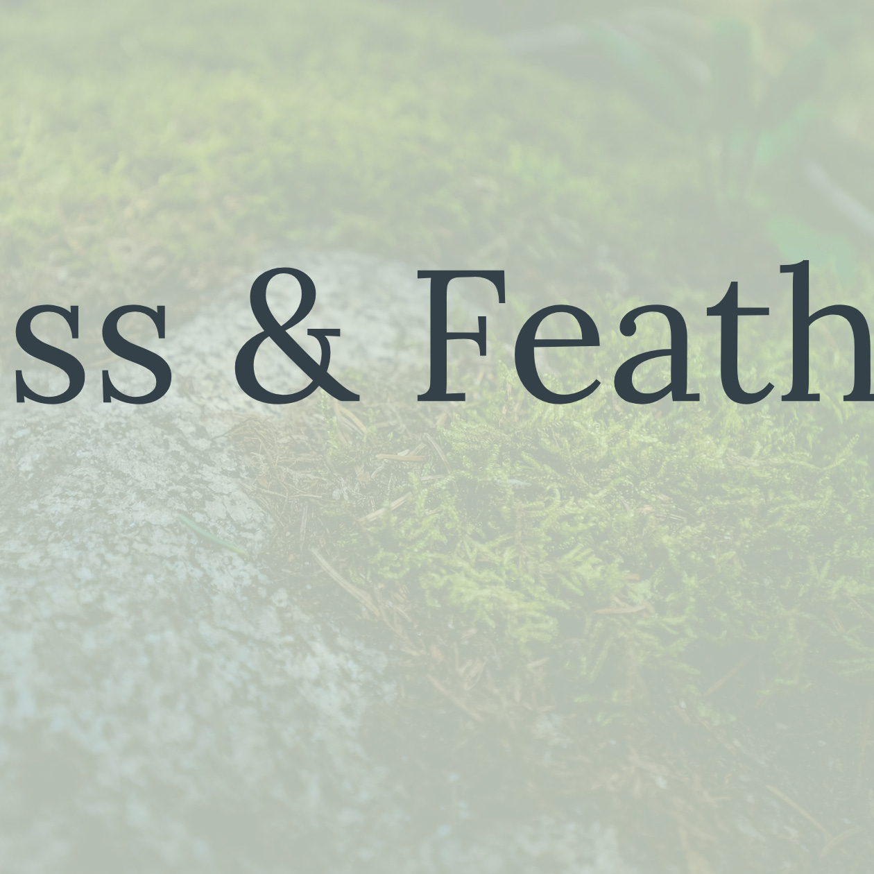 Moss and Feathers