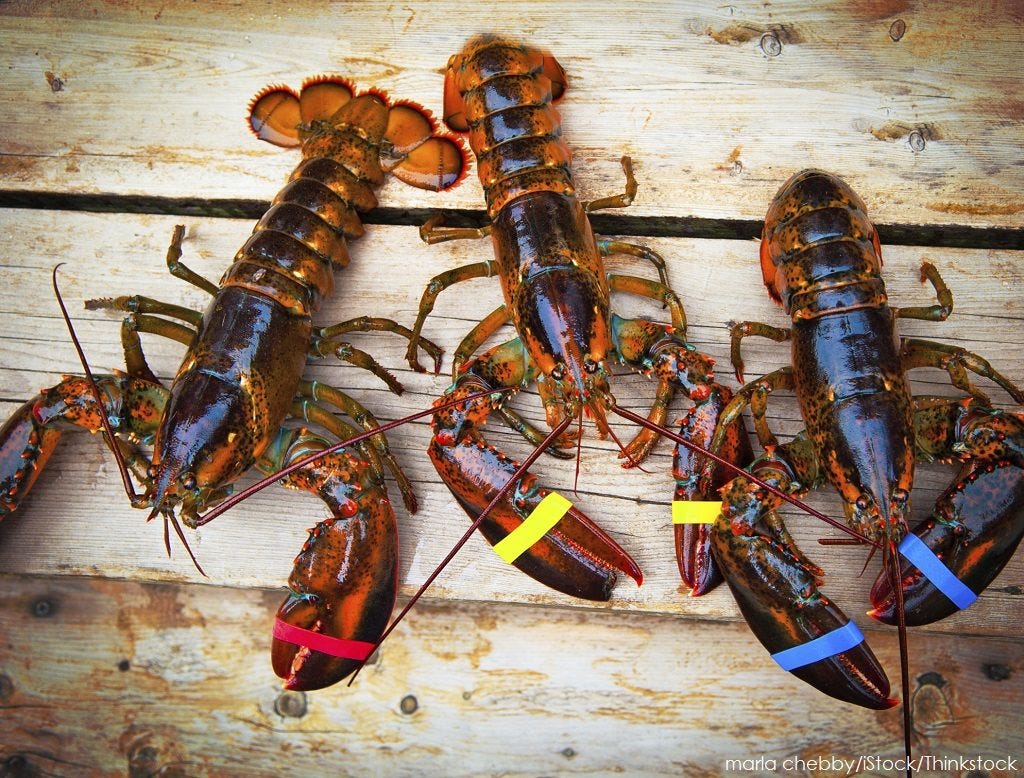 What are the Top 4 Seafood Restaurants in Portsmouth NH?