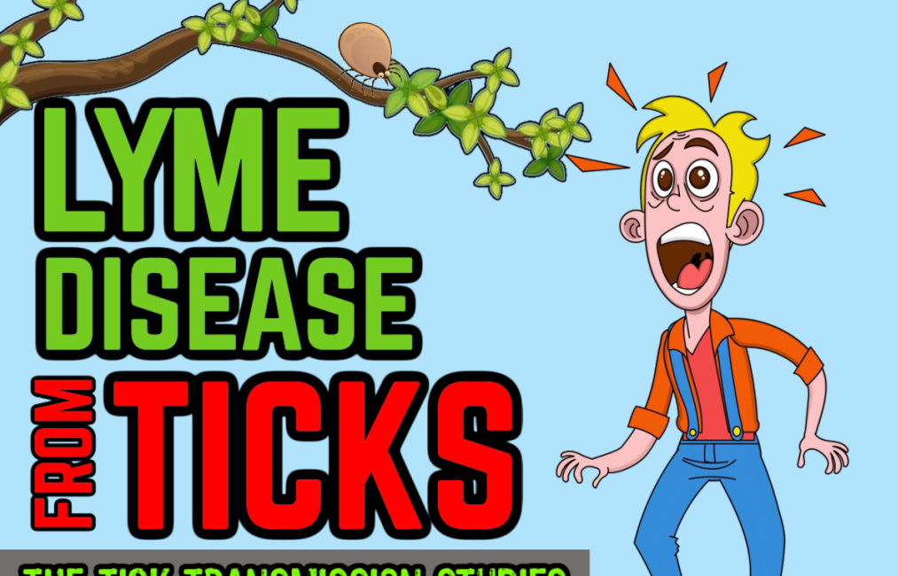 LYME DISEASE: Tick Transmission Studies - How Science Determined Insects Infect Humans