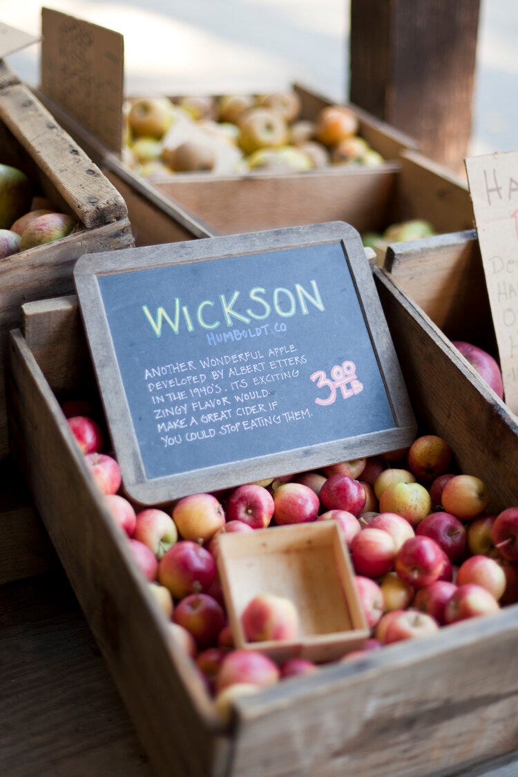 Apples at Philo Apple Farm in Anderson Valley, where you can stay and take cooking classes using produce straight from their farm (photo courtesy of Philo Apple Farm).