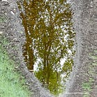 DE HEUVEL VAN DE PAARDEN-KONING