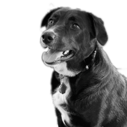 Substack profile picture for @kristin