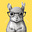 ADHD Wise Squirrels's avatar