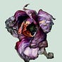 DLT's avatar
