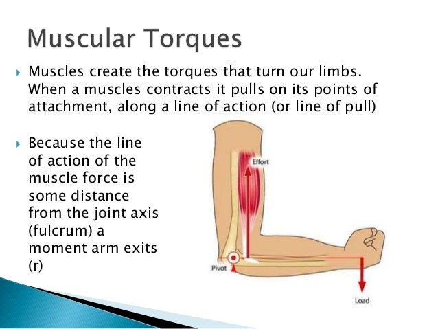 Torque Torque