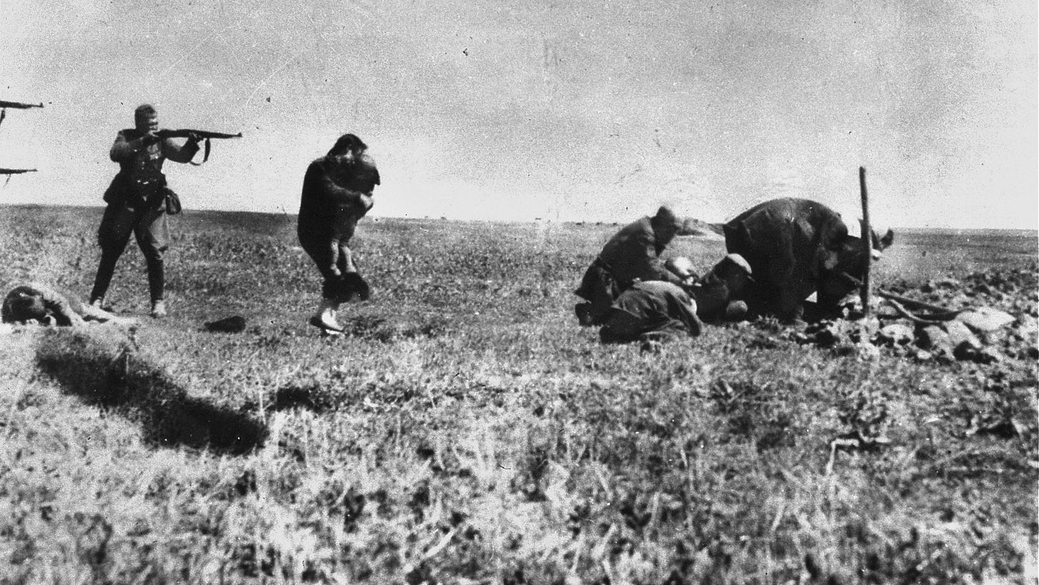 Einsatzgruppen in Germany: The Nazi Killing Squad