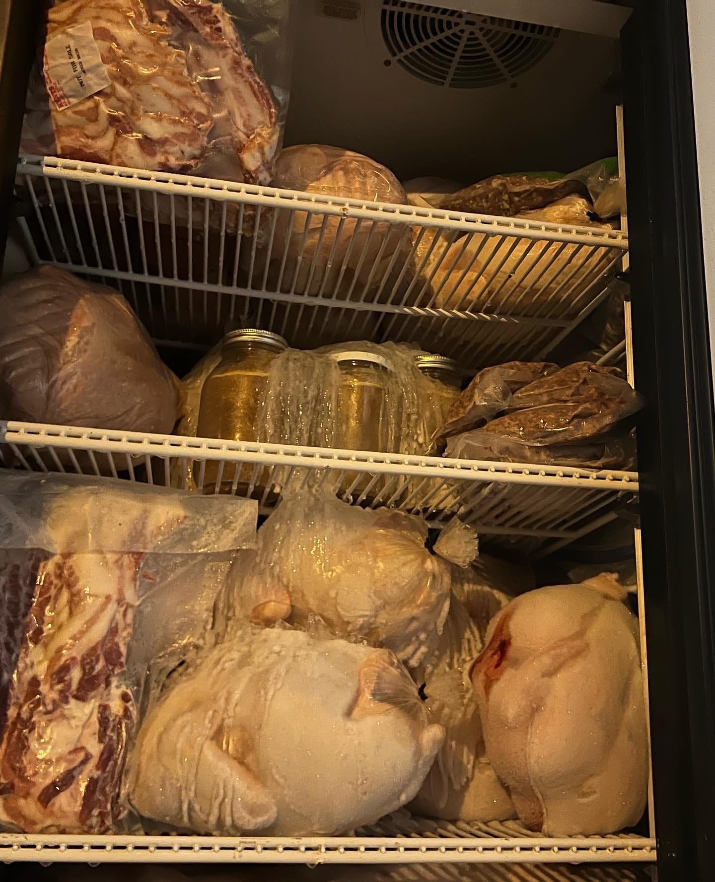 freezer with meat