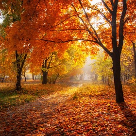New Poem: "Every Leaf A Flower"