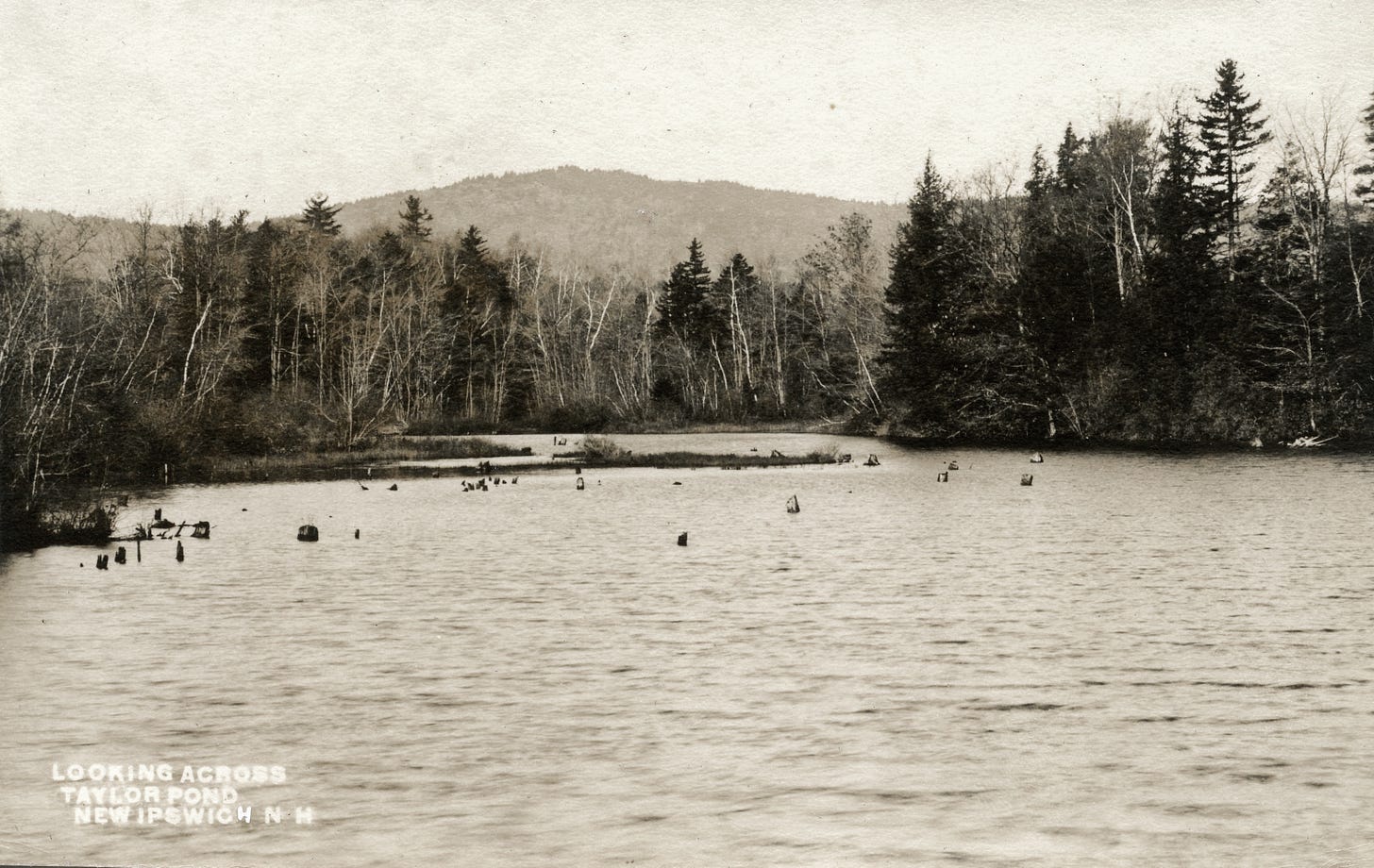 Taylor Pond