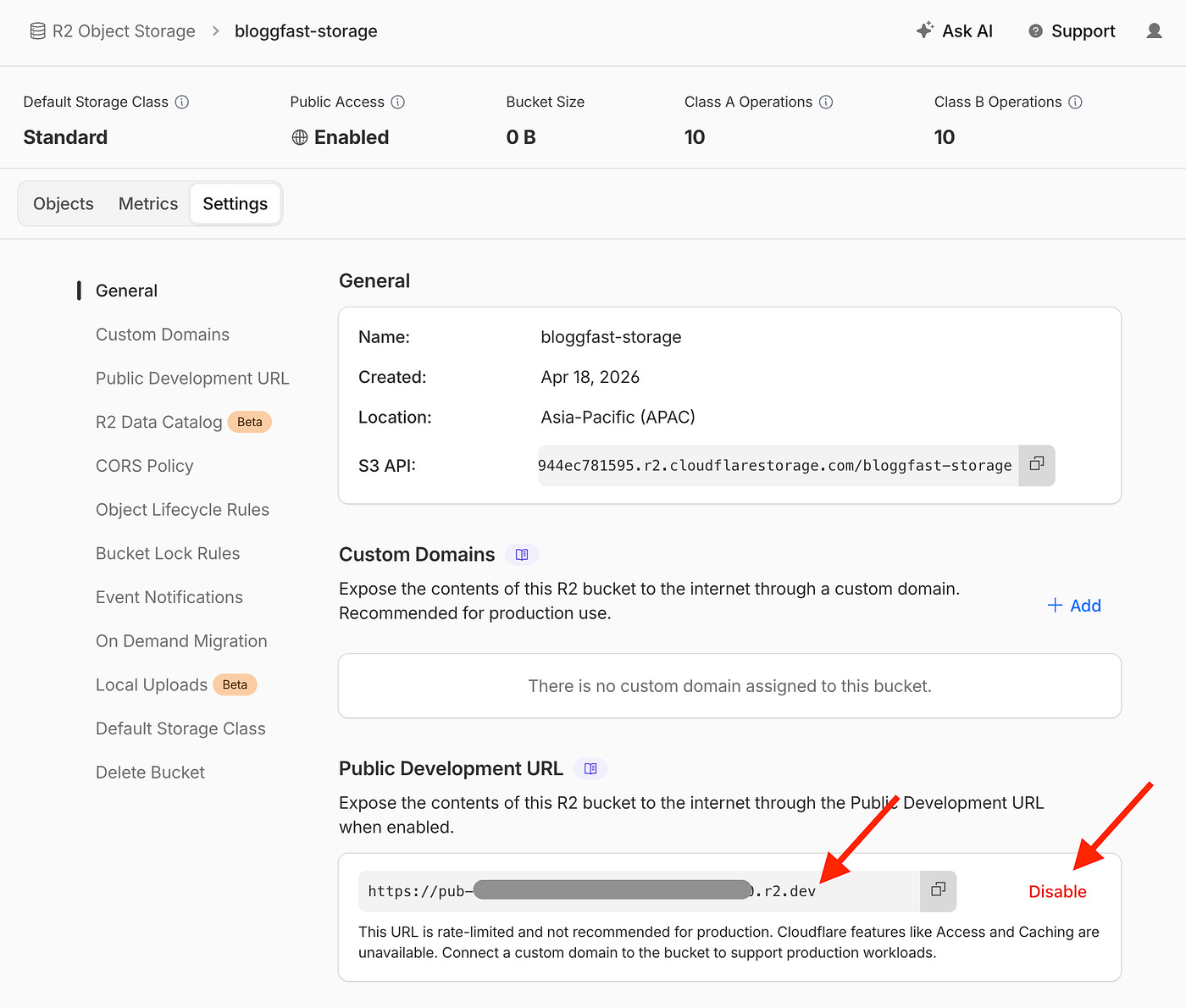Getting the Public Dev URL in CloudFlare. Image by Jim Clyde Monge